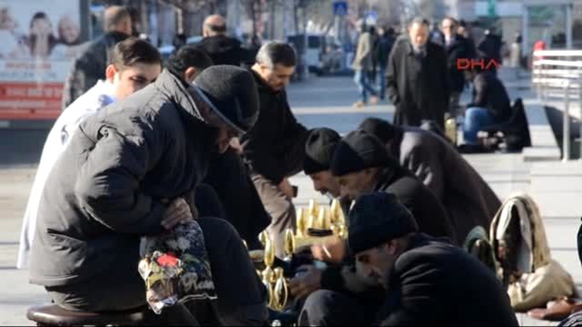 Erzurum\'da Aralık Ayında İlkbahardan Kalma Günler