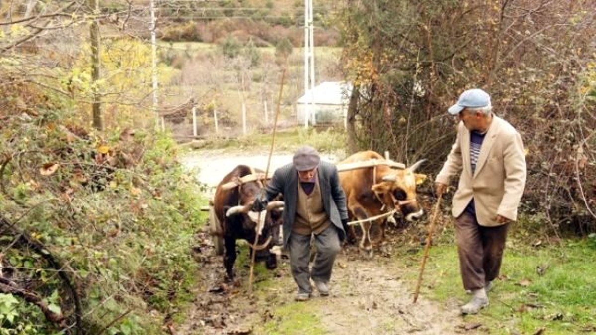 İki Oğlunu Traktör Kazasında Kaybeden Baba, Teknolojiyi Reddediyor