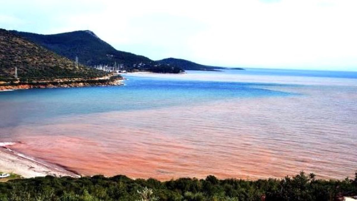 Sağanak Yağmur Bodrum\'u Vurdu