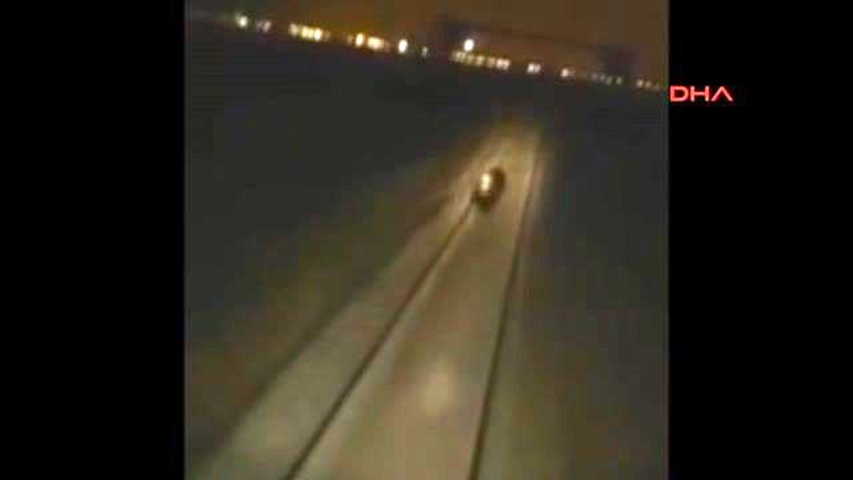 Tren Makinistleri Raylara Giren Ayıya Çarparken Böyle Eğlendi