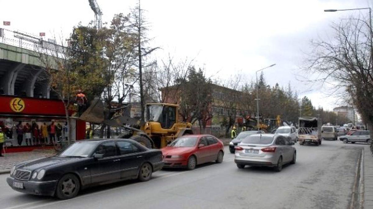 Ağaçlar Budanınca Trafikte Yoğunluk Yaşandı