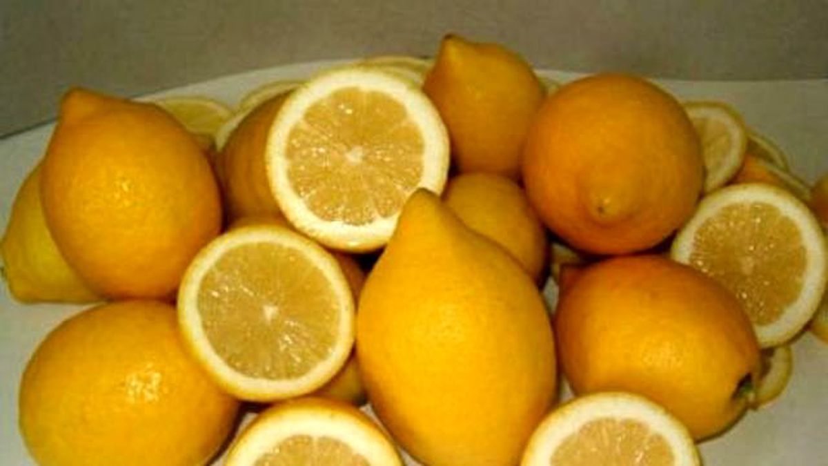 Çekirdeksiz Limona ABD ve Güney Afrika\'dan Talip Var