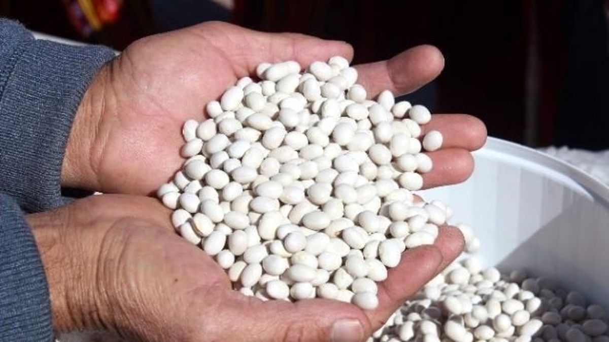 Derbent Tarımda Markalaşmanın Peşinde