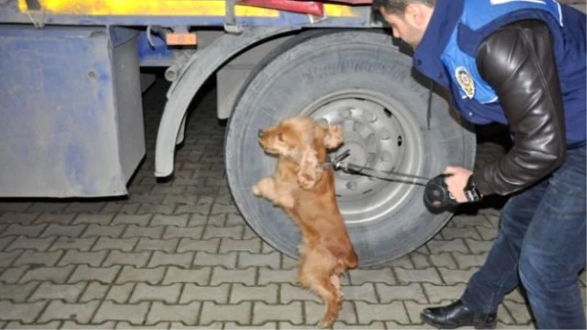 Edirne Kapıkule Sınır Kapısı\'nda Narkotik Köpeği 430 Bin Uyuşturcu Hap Buldu