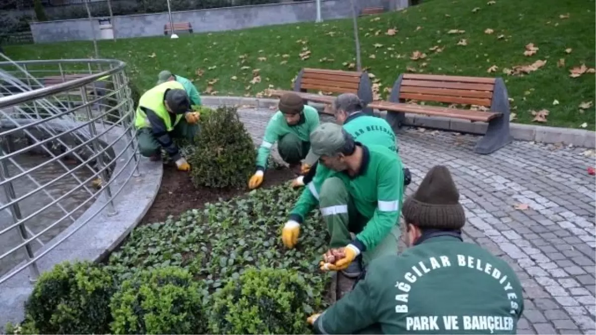 Her Mahalleye Lale ve Sümbül Fidanı Dikiliyor