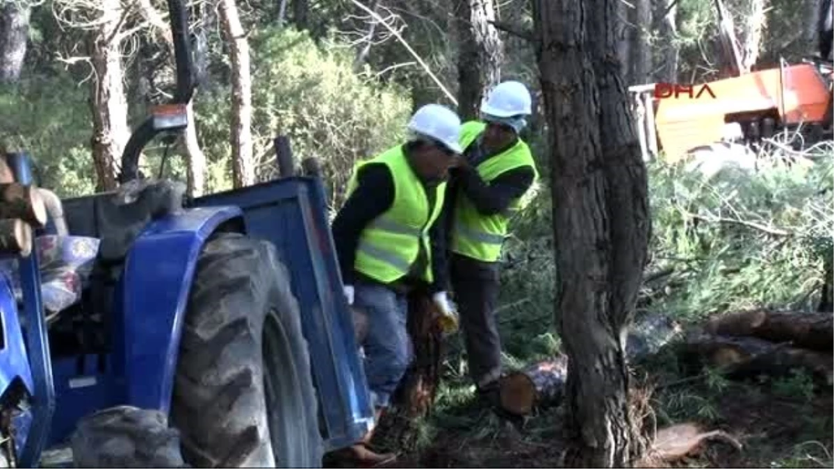 İzmir Ovacık\'ta Köylüler ve Çevreciler, Res Alanında Piknik Yaptı