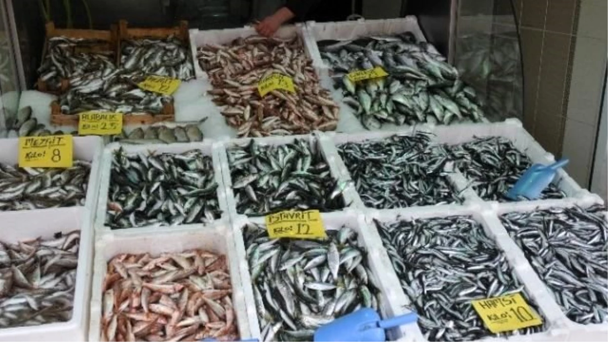 Karadeniz\'de Hava Soğudu Balık Fiyatları Arttı