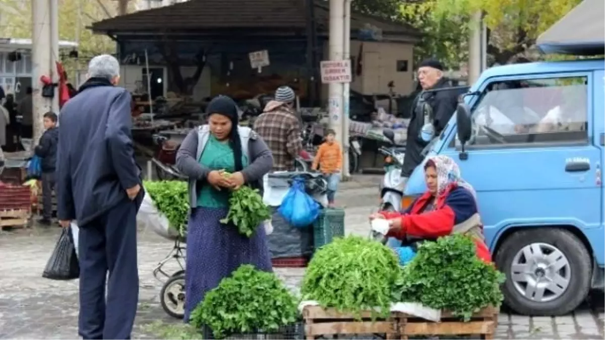 Kış Aylarında Tüketilen Otlara İlgi