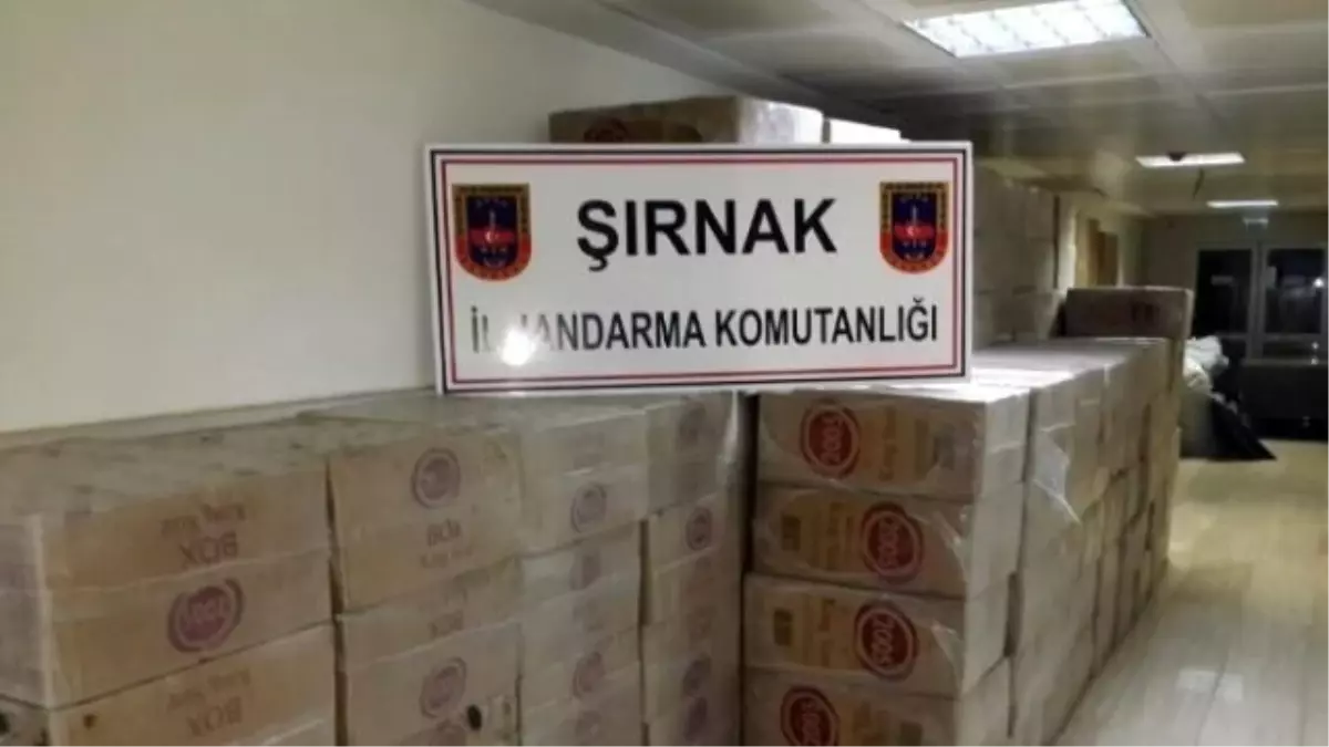 Şırnak\'ta 350 Bin Lira Değerinde Kaçak Sigara Ele Geçirildi