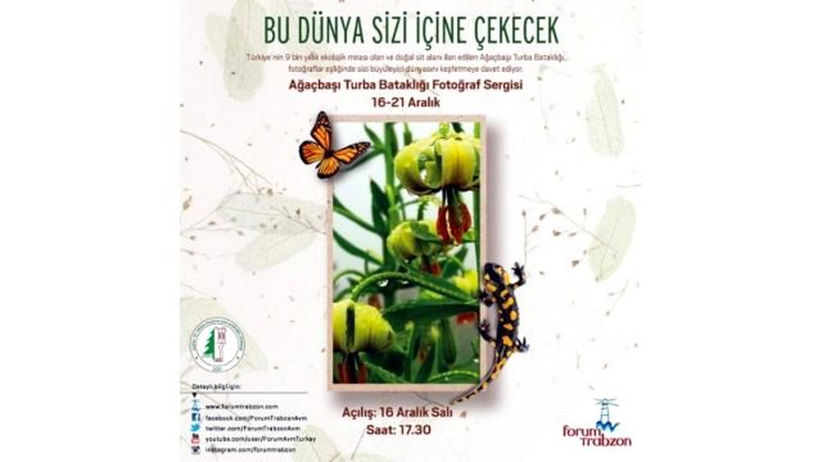 Ağaçbaşı Turba Bataklığı Fotoğraf Sergisi Forum Trabzon\'da