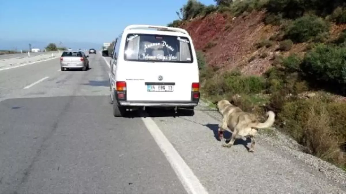 Kangala Zincirli Eziyet Yapan Sürücü, Cezasız Kalmadı