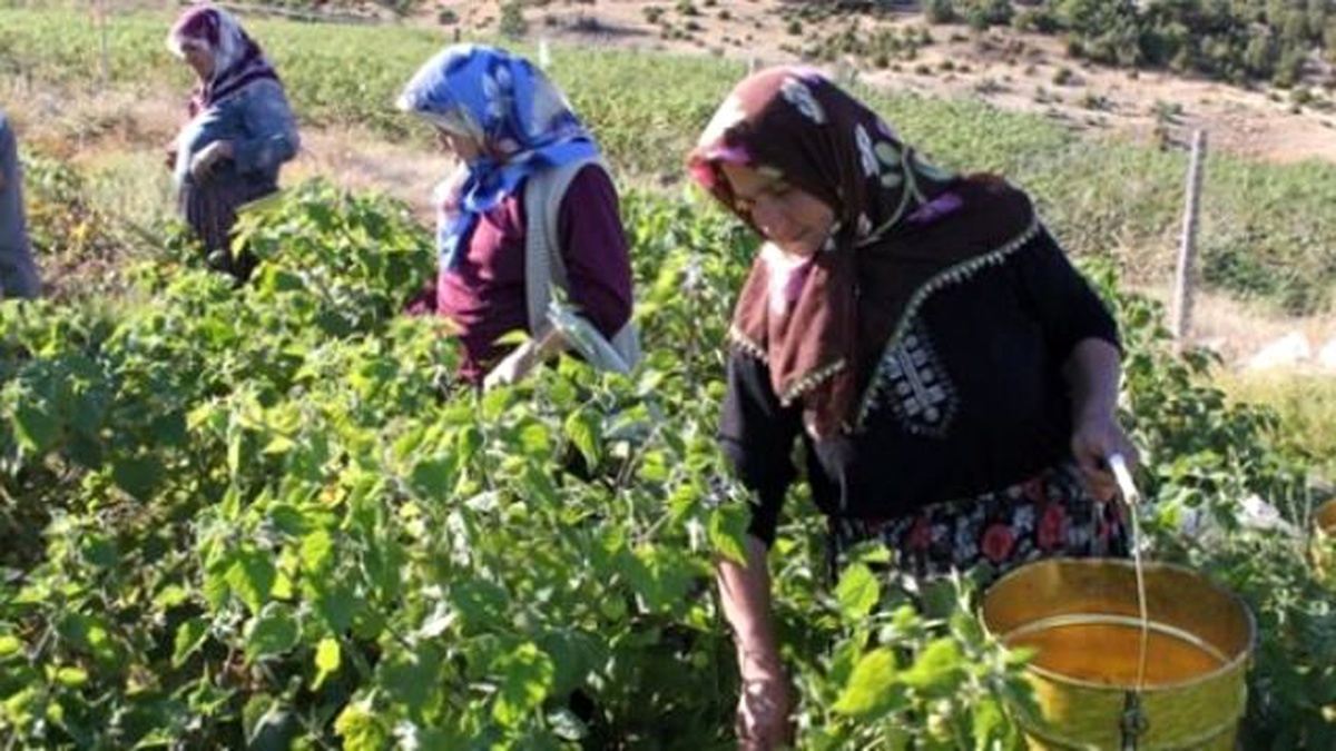 Tzob Genel Başkanı Bayraktar Açıklaması
