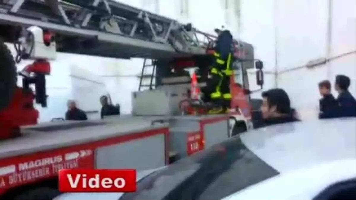 Dengesini Kaybeden Kedi İnşaat Demirine Saplandı