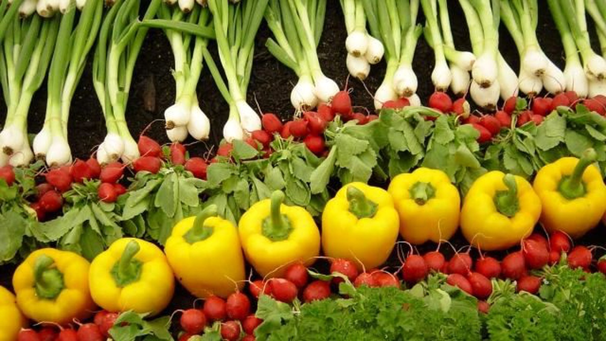 GAP Bölgesi\'nde Organik Tarım Desteklenecek