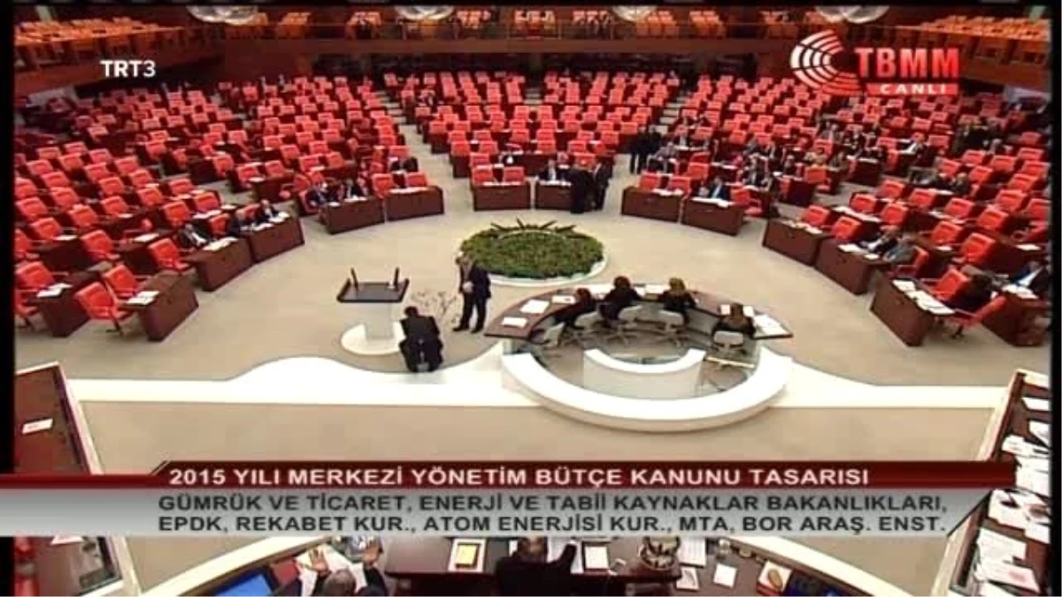 CHP Balıkesir Milletvekili Havutça, Zeytin Ağacı ile Kürsüye Çıktı