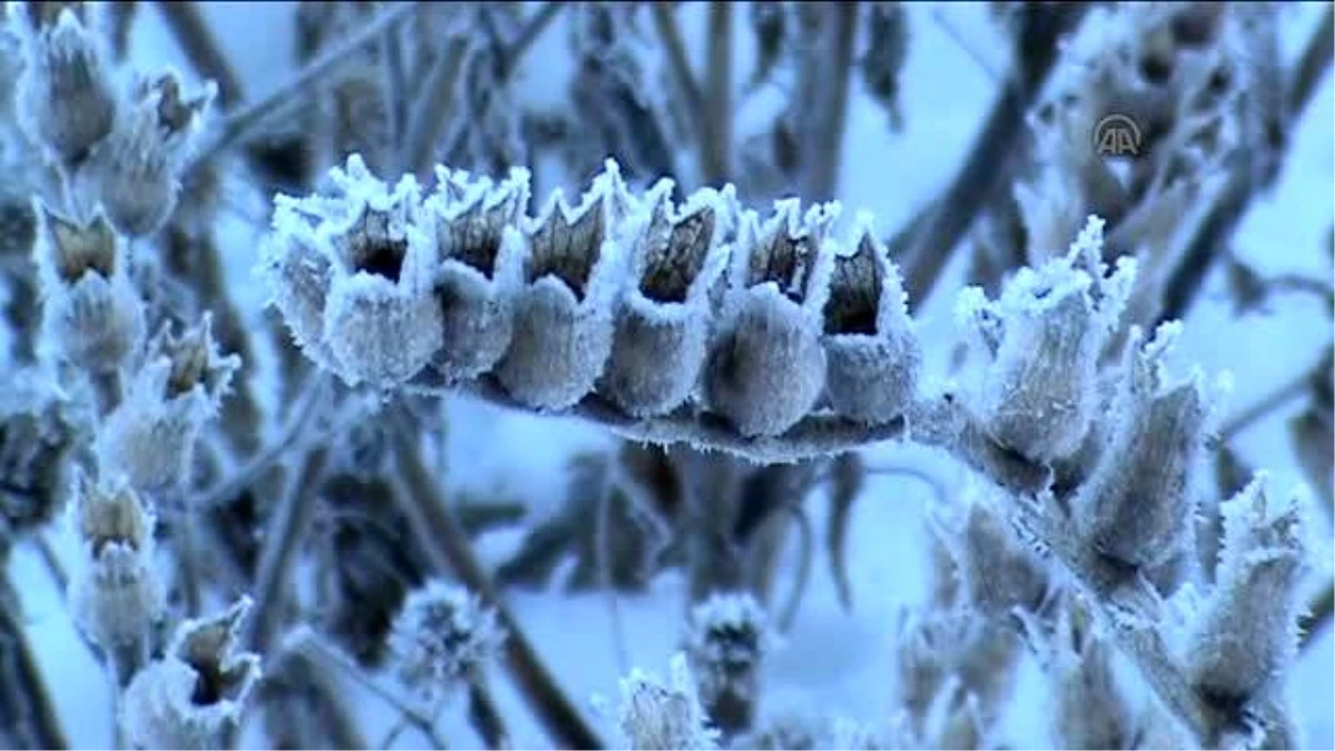 Kars\'ta Hava Sıcaklığı Sıfırın Altında 9 Derece!