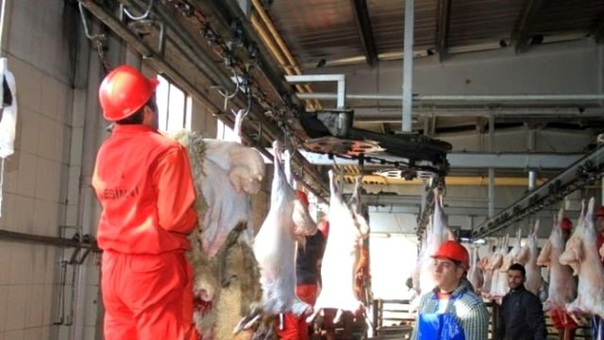 Erzincan Et ve Tavuk Entegre Tesisi 9 ile Hitap Ediyor