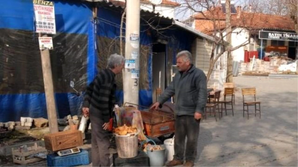 Organik Köyün Res\'e Karşı Hukuk Zaferi