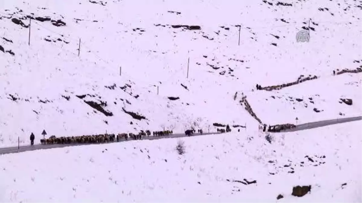 Yaylacıların Karlı Yollarda Dönüş Çilesi