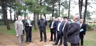 Aksu Mesire Alanında Çalışmalar Devam Ediyor