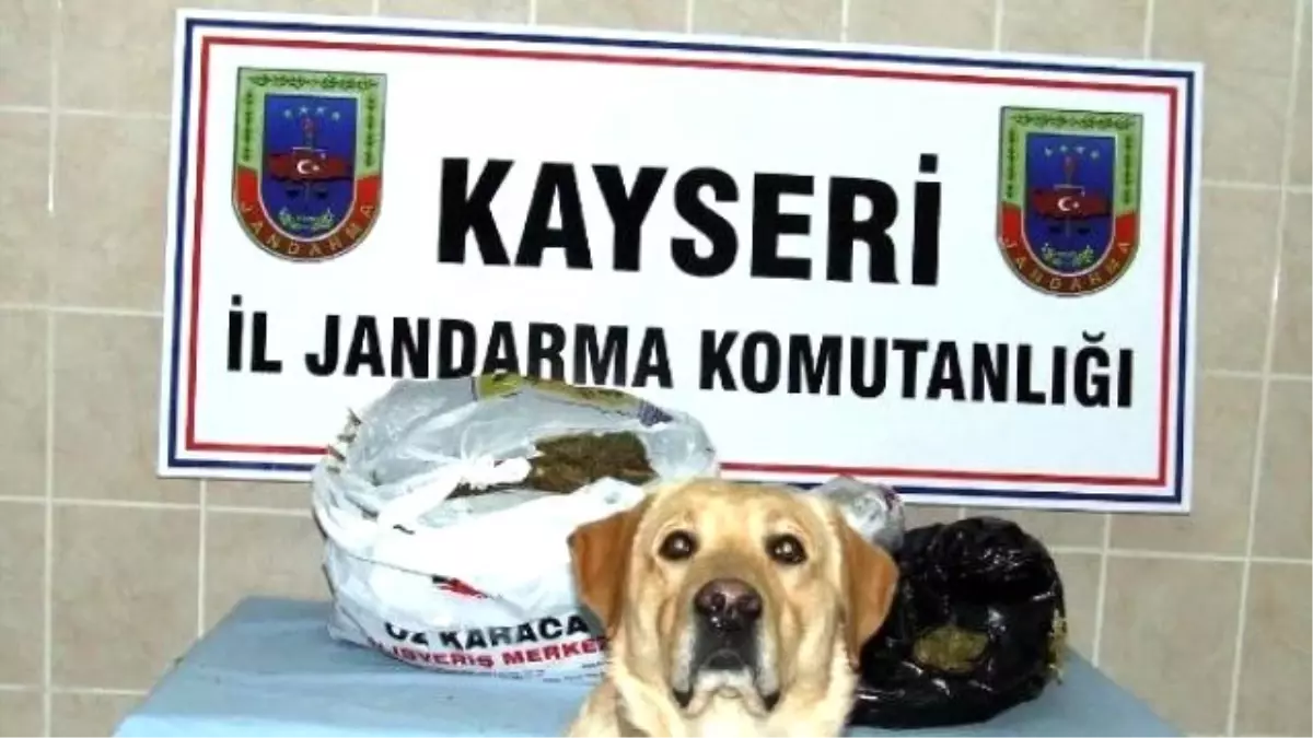 Kayseri\'de 15 Kilo Esrar Ele Geçirildi