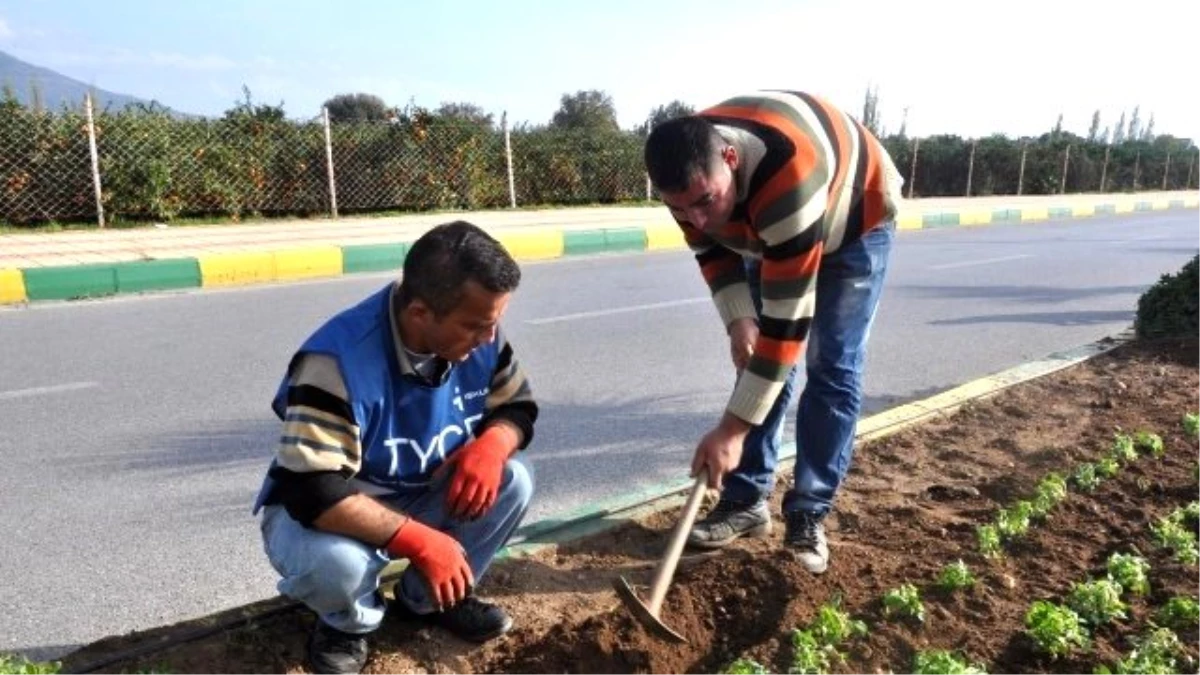 Menderes Çiçeklerle Donatıldı