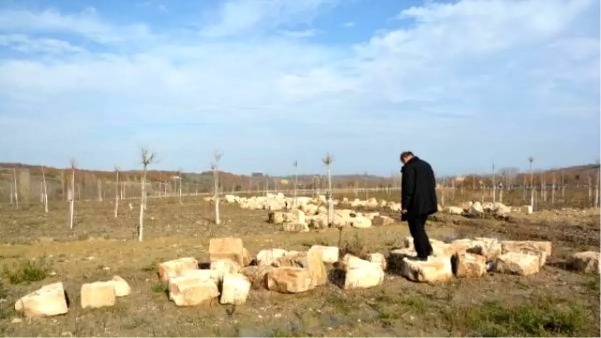 Sökülen Tarihi Köprünün Taşları Ortada Bırakıldı