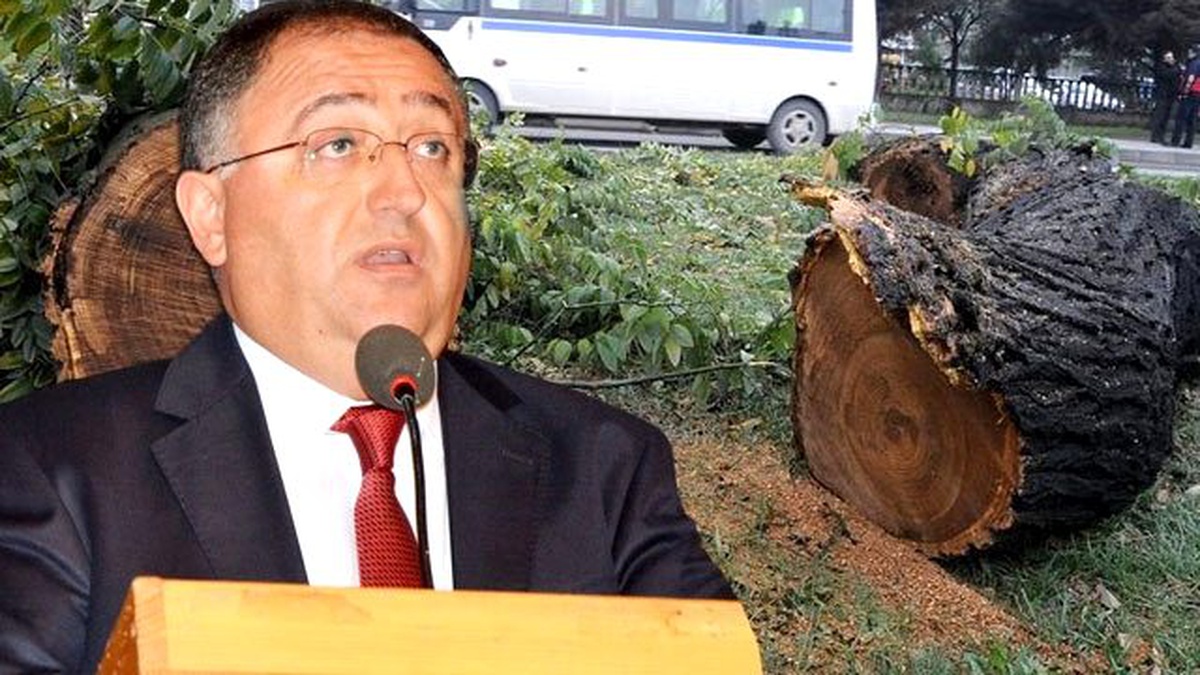 Yine Olsa Yine Yaparım