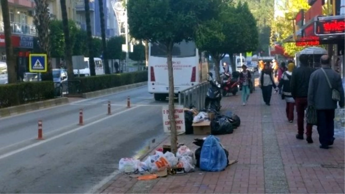 Belediye, Belediyeye Kızıp Çöpleri Toplamadı