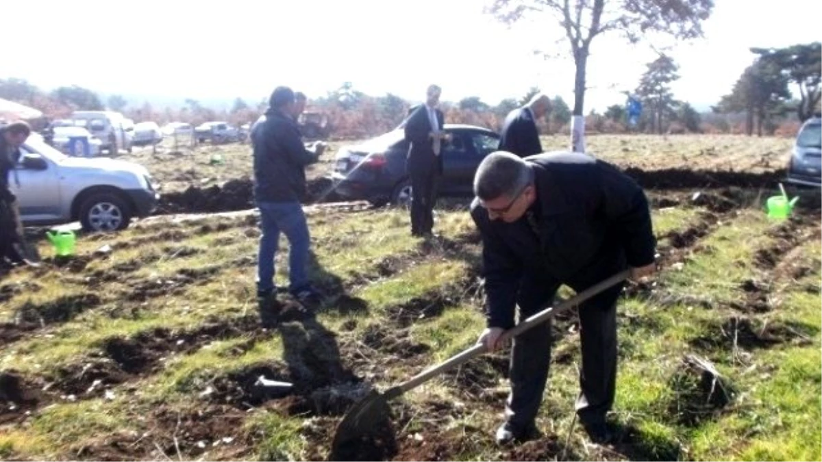 Gelir Getirici Fidanlar Toprakla Buluştu