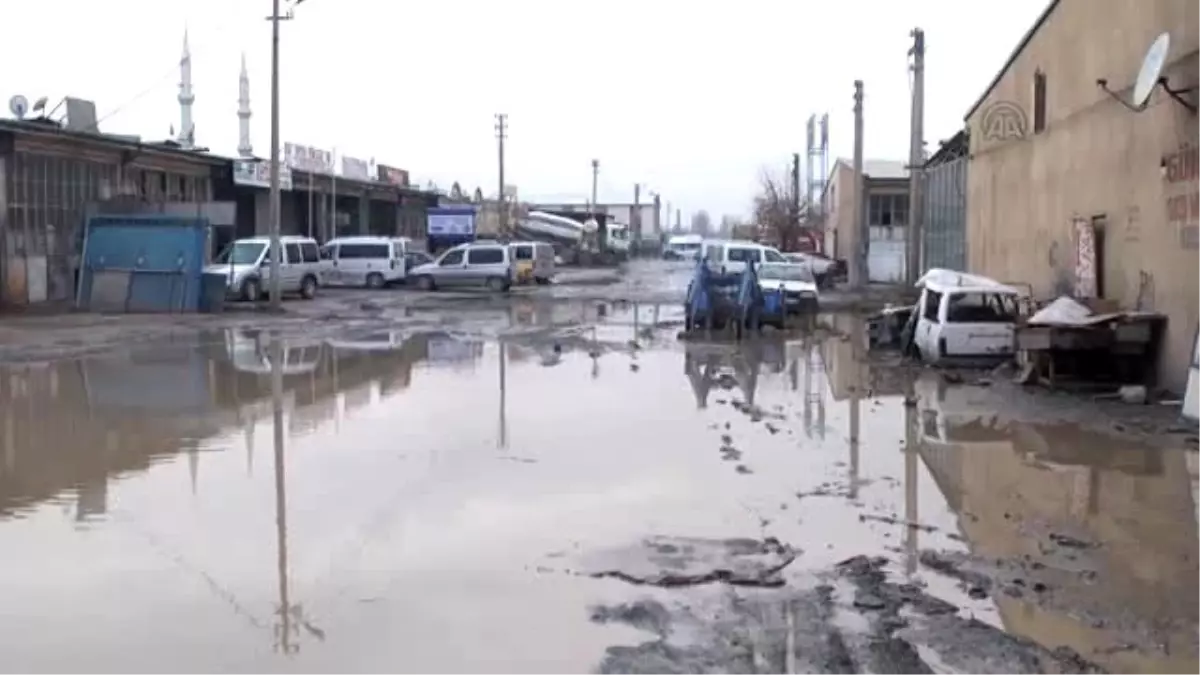 Göle Dönüşen Yola Olta Atarak Tepki Gösterdi