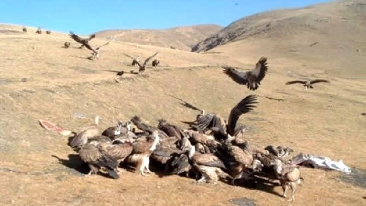 Öğrencilere İzletilen Kan Dondurucu Cenaze Töreni