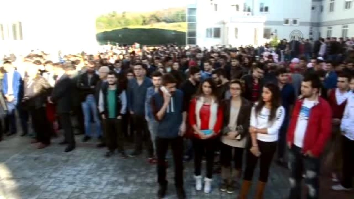 Sinop Üniversitesinde Yapılan Şenlikte 750 Kilo Hamsi 3 Saatte Tükendi