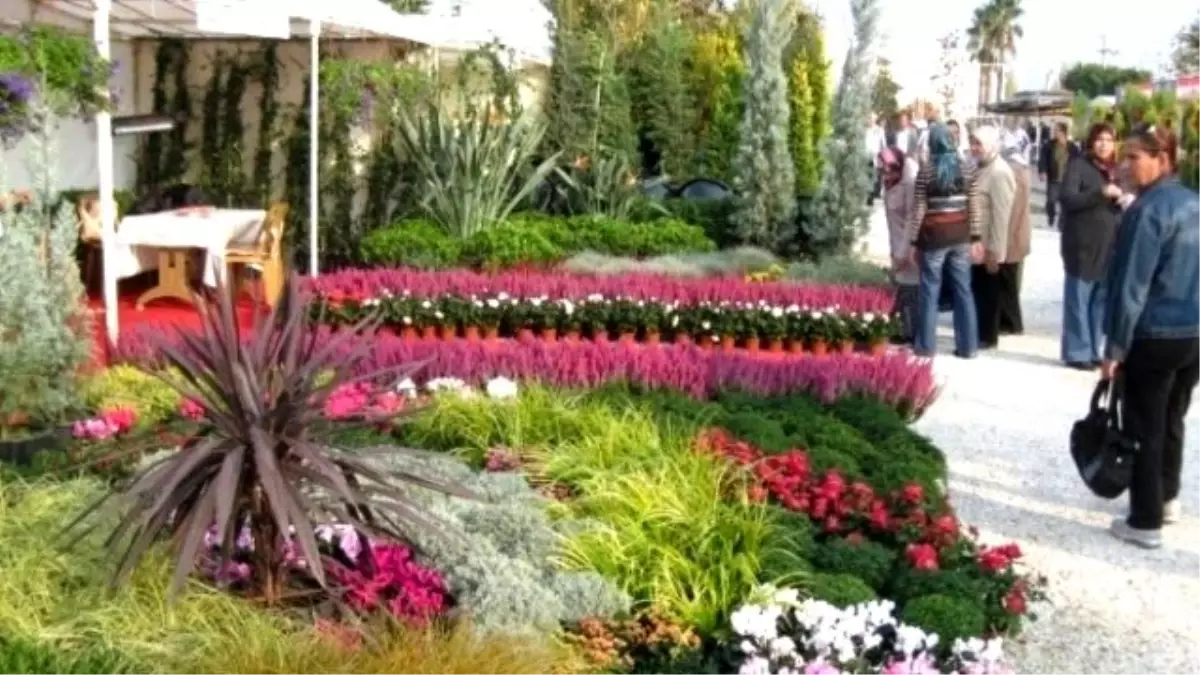 21 Aralık Dünya Kooperatifçilik Günü