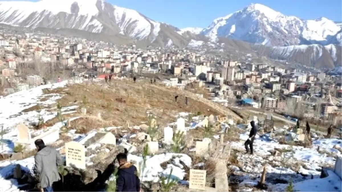 Hakkari\'deki Mezarlıklar Yeşillendiriliyor