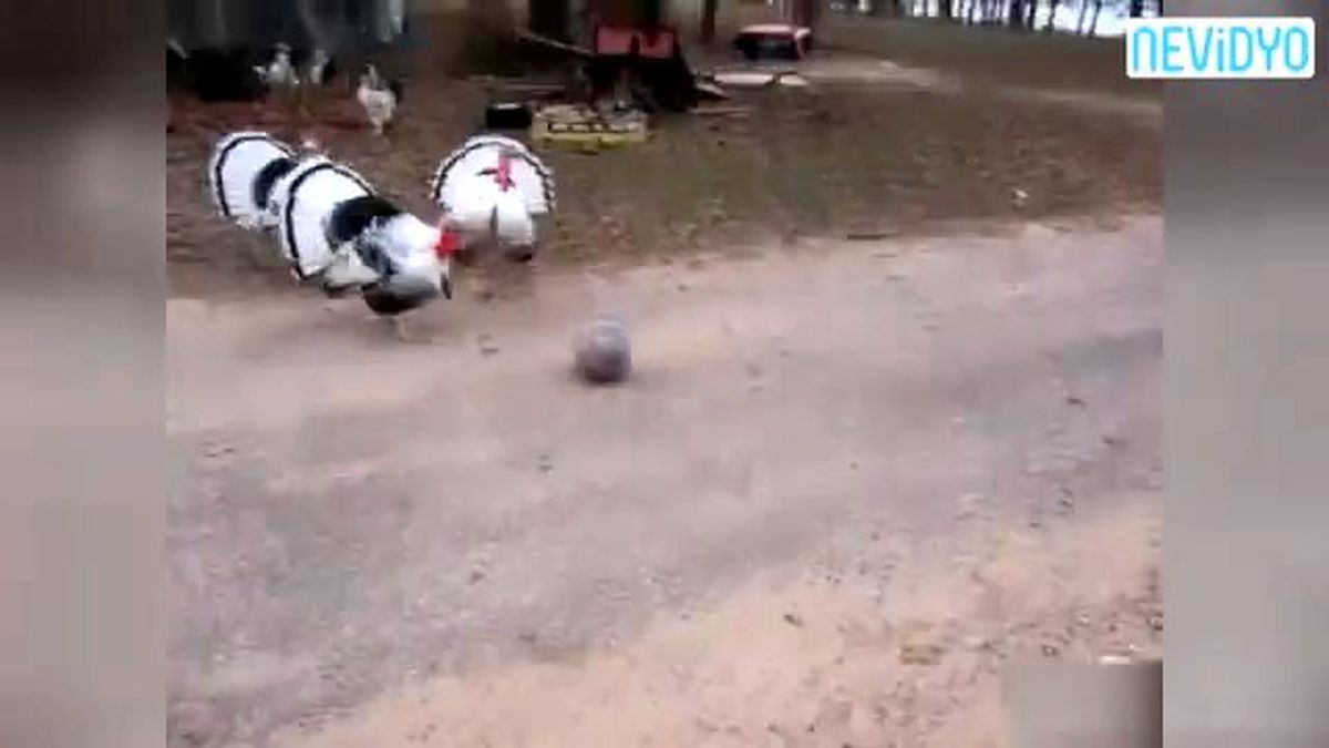 Hindiler Futbol Oynarsa...