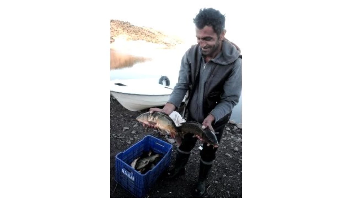 Balıkçılık, Orta Anadolu\'da Sektör Oldu