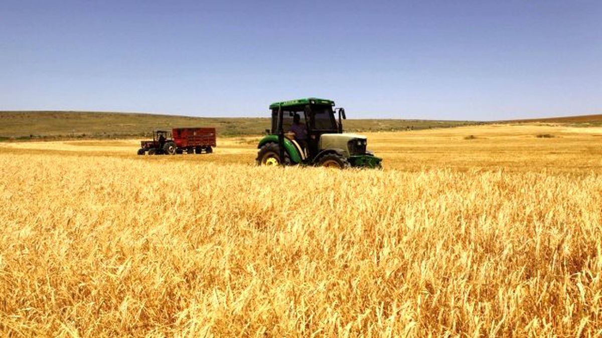 Destek Başvurusu 12 Ocak'ta Başlayacak
