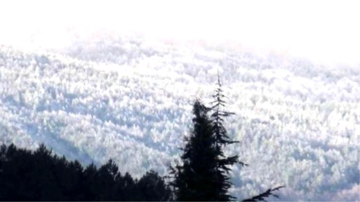 Simav\'da Yüksek Kesimlere Kar Yağdı