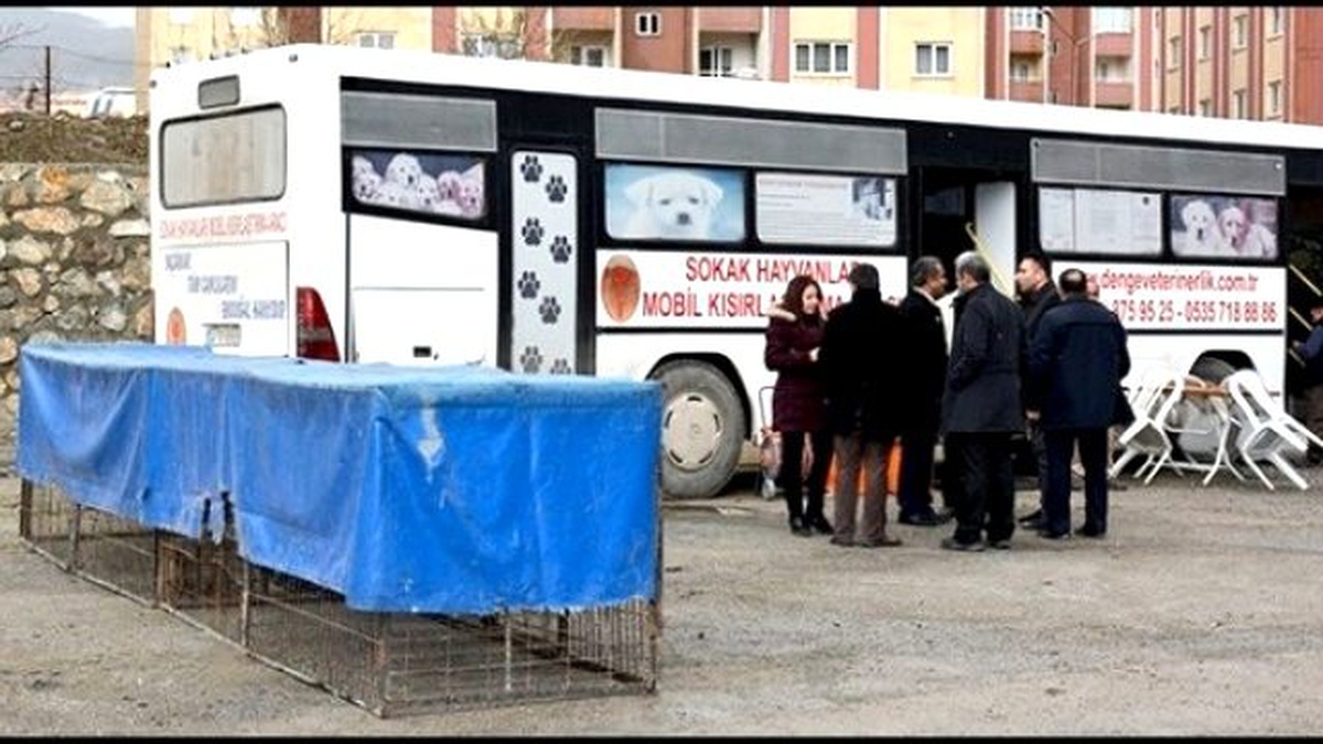 Hakkari\'de Köpekler Kısırlaştırılacak