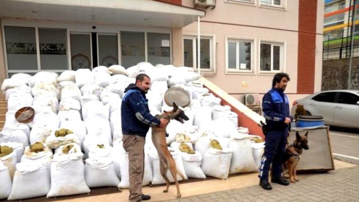 Lice\'de Ele Geçen 6 Ton Esrar Teşhir Edildi