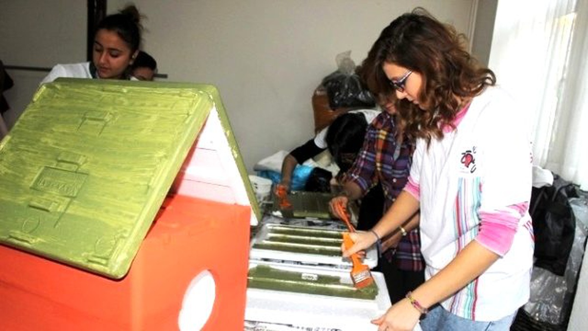 Sokak Hayvanları İçin Ev Yapıyorlar