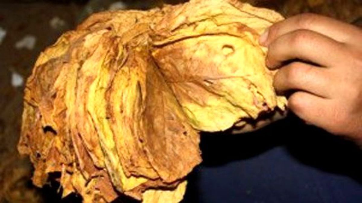 Tapdk Kararı