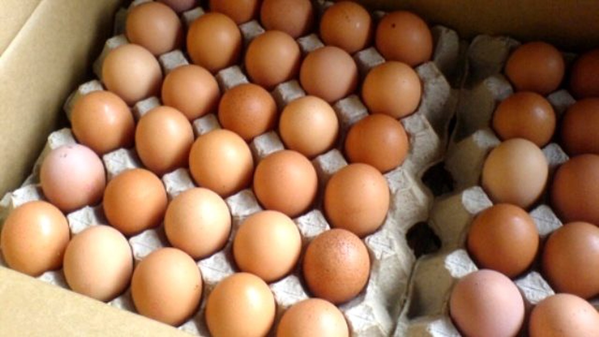 Kayseri\'de Toptan Yumurta Fiyatları Değişmedi