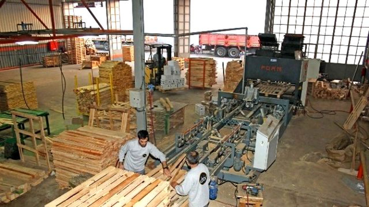 Detay Palet Yatırımlarıyla Çıtasını Yükseltiyor