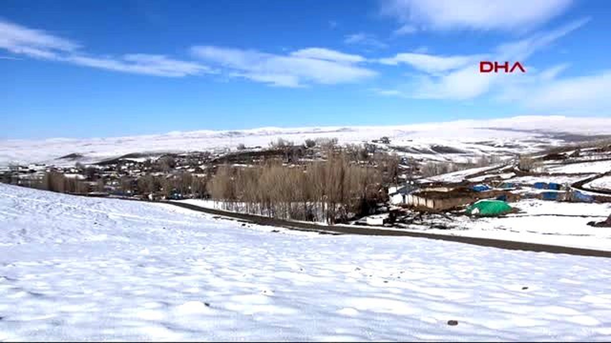 Kars Atlara Kış Tipi Çivili Nal Takılıyor