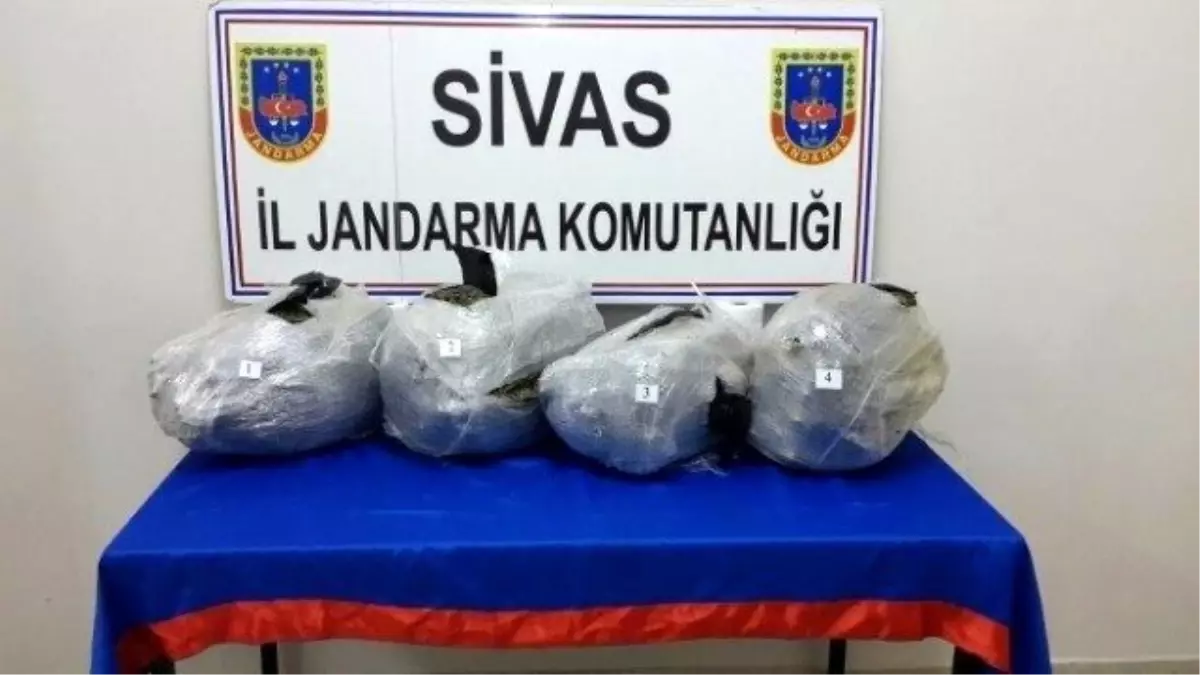 Sivas\'ta 20 Kilo Esrar Ele Geçirildi