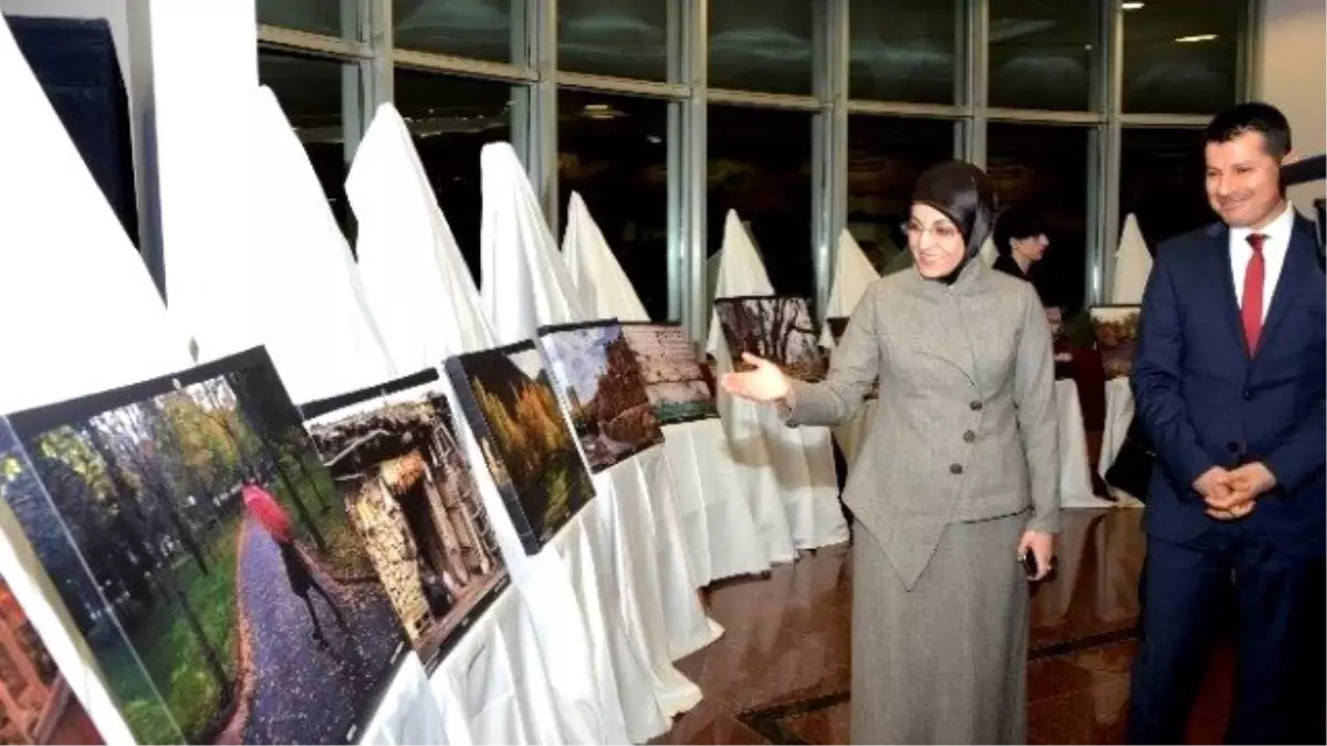 Sonbaharda Meram"In Ödülleri Verildi