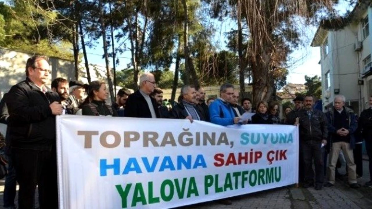 Yalova\'da Yeni Bir Ağaç Katliamına Tepki