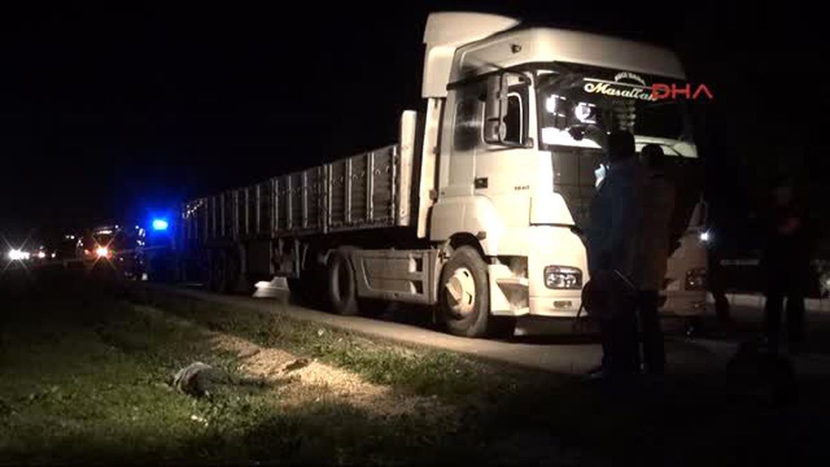 Kamyon Şoförü, Levye ile Dövülerek Öldürüldü